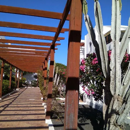 Pistachio Lanzarote